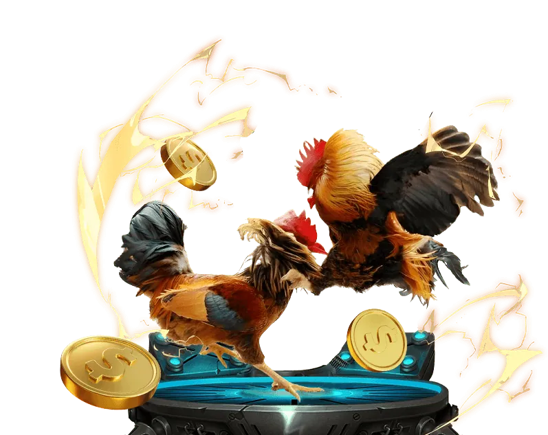 Nhà cung cấp DS Gaming